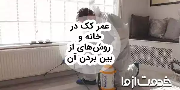 10 روش برای از بین بردن کک در منزل
